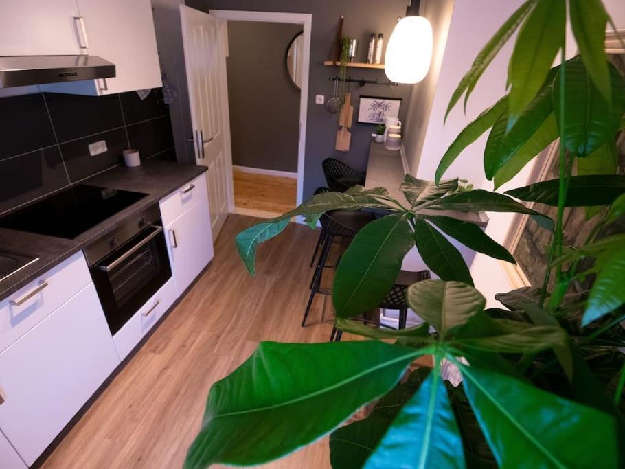 Ferienwohnung Natuerlich Mit Stil - 24-7 Und Check-In Kiel Exterior foto