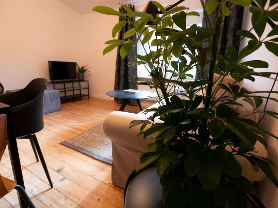 Ferienwohnung Natuerlich Mit Stil - 24-7 Und Check-In Kiel Exterior foto